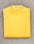 William Lockie x Frans Boone Inigo Baby Lambswool Crew Neck Zafferano