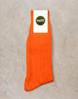 Frans Boone Socks Mako Cotone Marocco